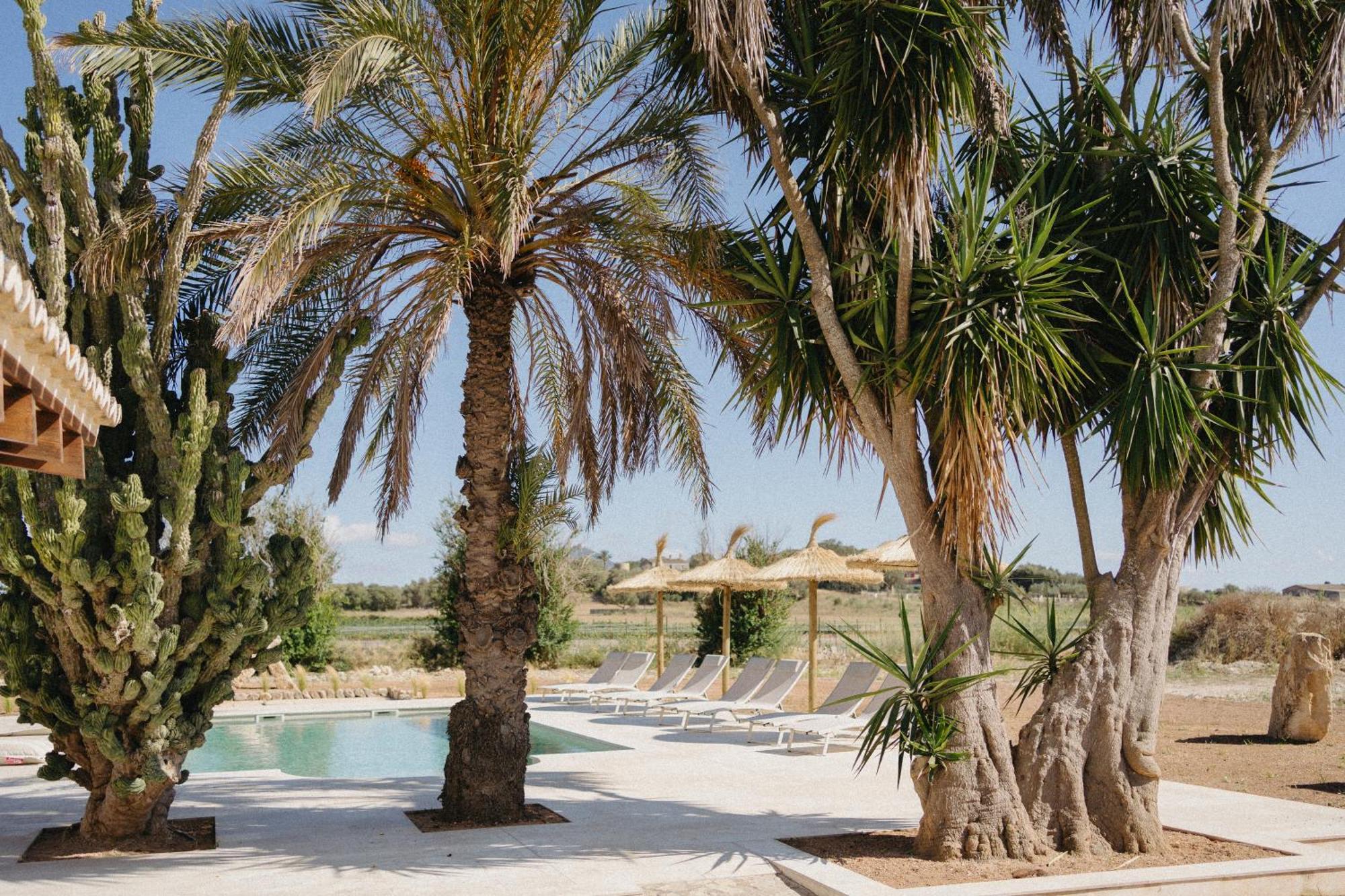Vino Resort Son Amaret Son Macia  Εξωτερικό φωτογραφία