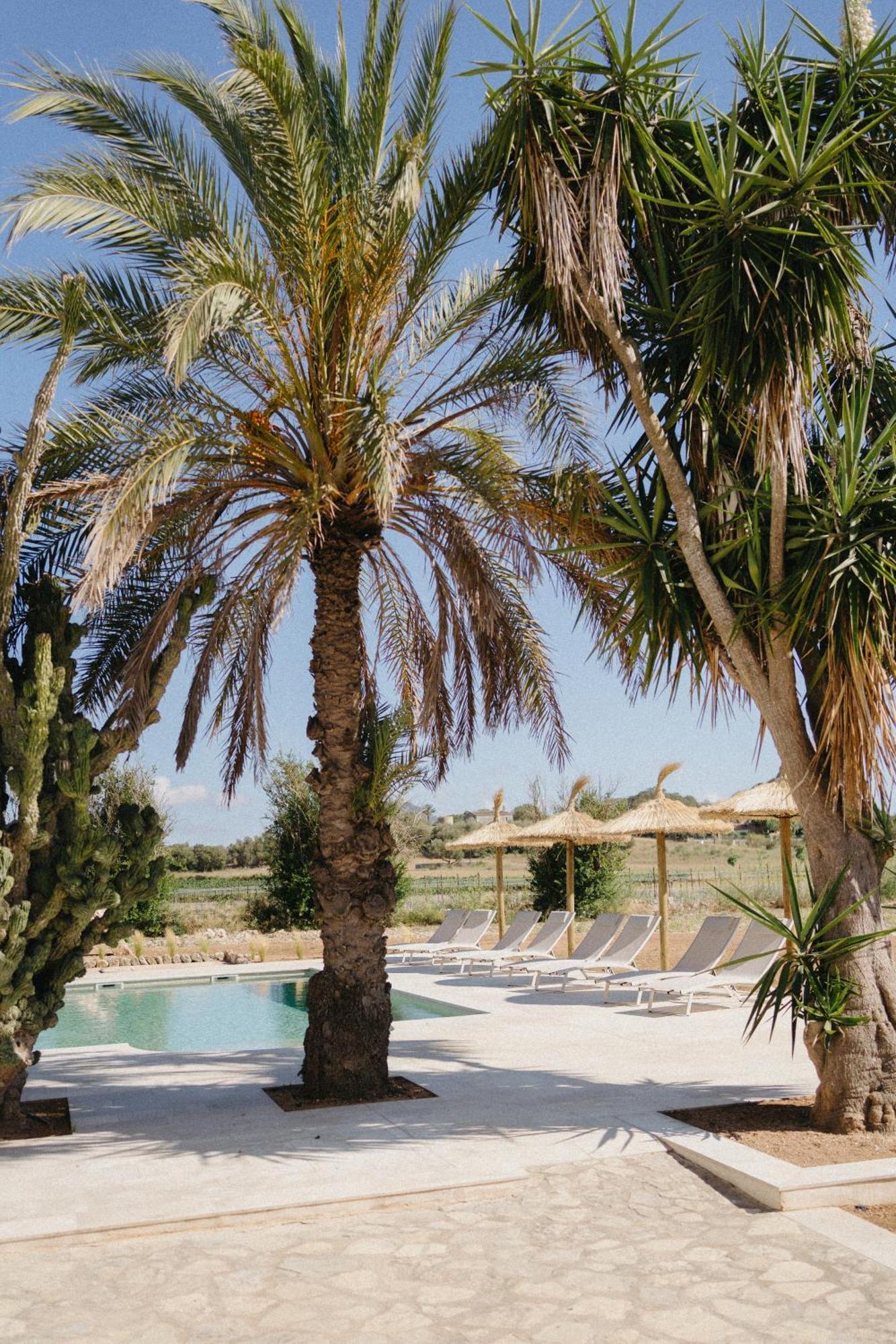 Vino Resort Son Amaret Son Macia  Εξωτερικό φωτογραφία