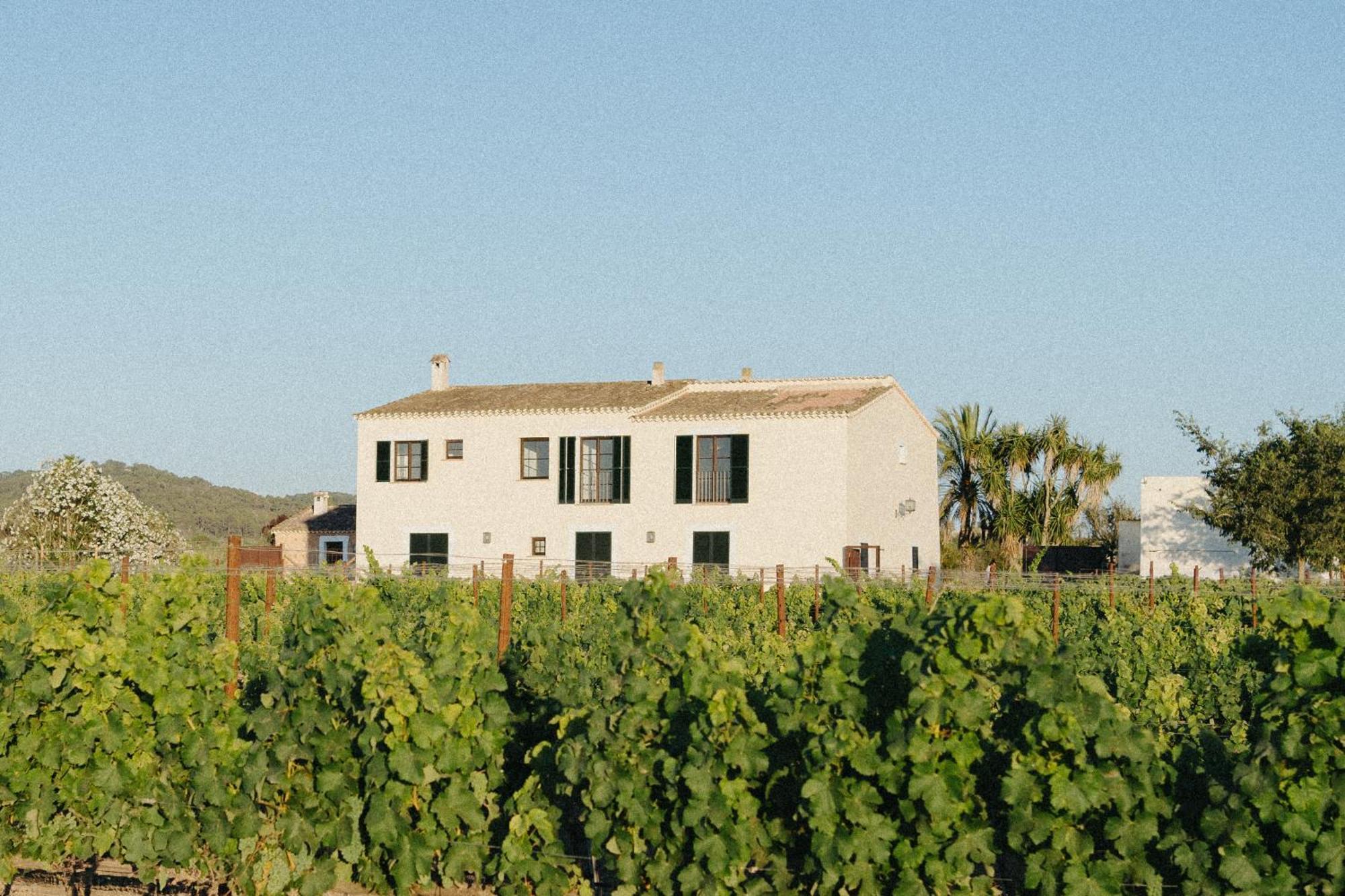 Vino Resort Son Amaret Son Macia  Εξωτερικό φωτογραφία